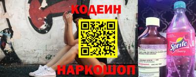 индика Гатчина