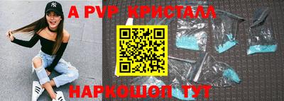индика Гатчина