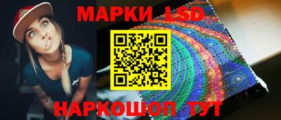 индика Гатчина