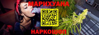 индика Гатчина