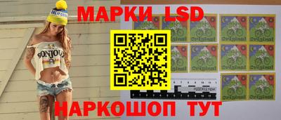 индика Гатчина
