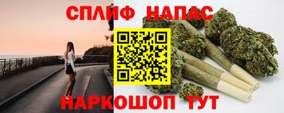индика Гатчина