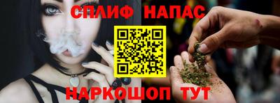 apvp Гагарин