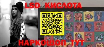 индика Гатчина