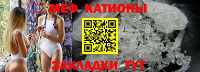 индика Гатчина