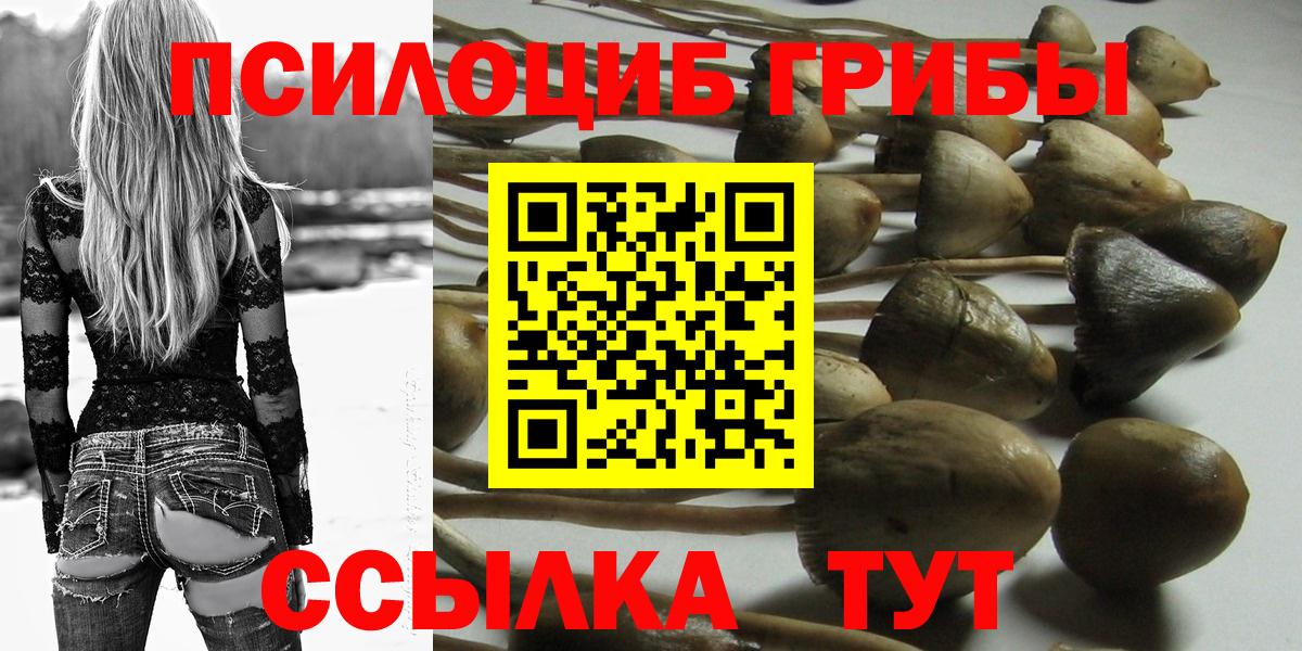 Галлюциногенные грибы Cubensis  Вход с VPN  Минеральные Воды 